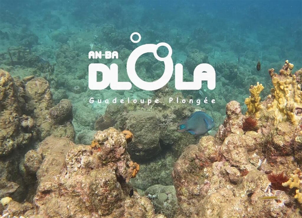 Rando Palmée Guidée en video