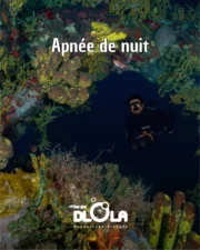 illustration Apnée de nuit