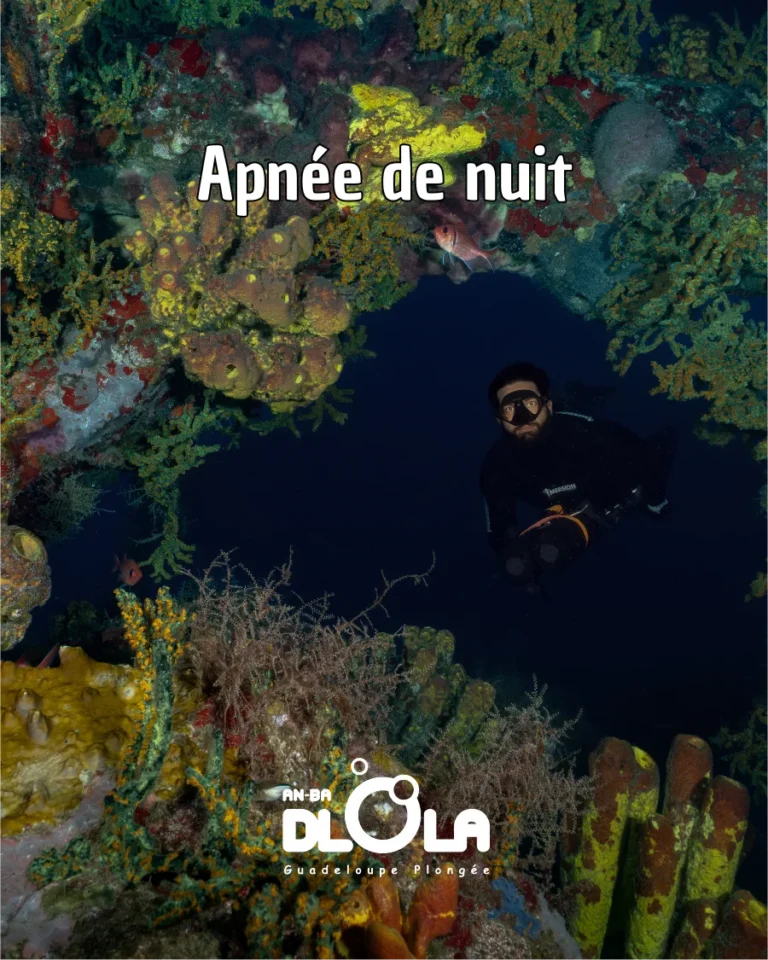 illustration Apnée de nuit