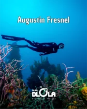 Sortie Apnée Augustin Fresnel