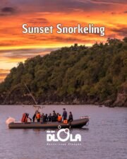 Randonnée Palmée Guidée Crépusculaire