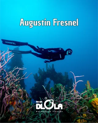 Sortie Apnée Augustin Fresnel