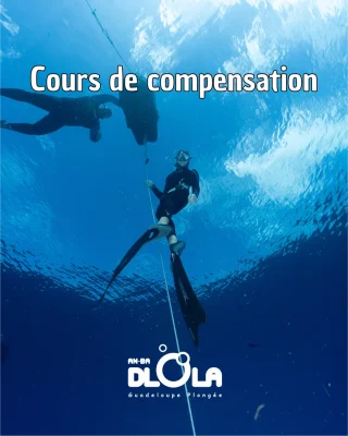 illustration du Baptême d'apnée