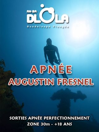 Sortie Apnée Augustin Fresnel